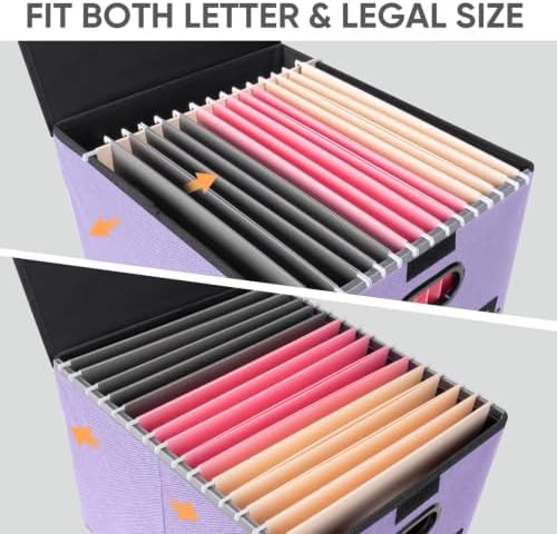 BALEINE File Organizer Box with Lid, Collapsible Hanging File Storage Box