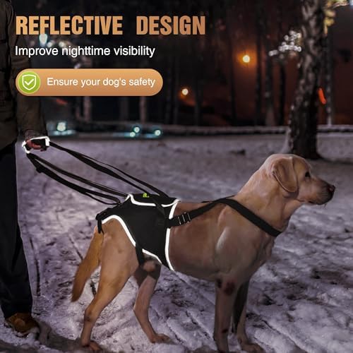 Dog Lift Harness for Medium Dogs, Hind Leg Assistance