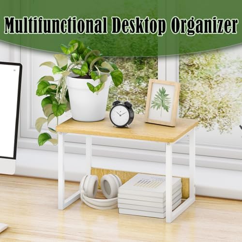 Printer Stand for Desk, 17.1"x12.4" Desktop Printer Stand Shelf Organzier
