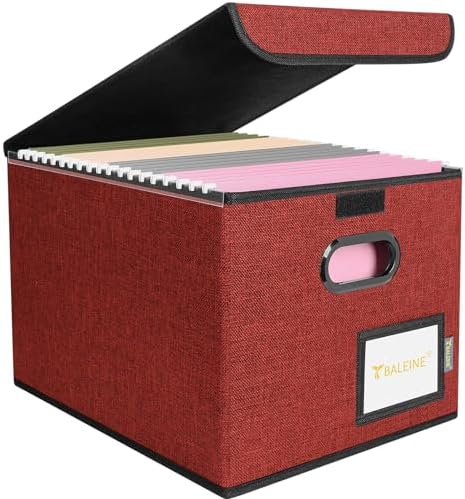 BALEINE File Organizer Box with Lid, Collapsible Hanging File Storage Box