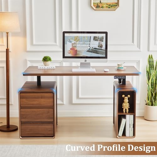 55" Wood Electric Standing Desk with Drawers and Storage Shelves