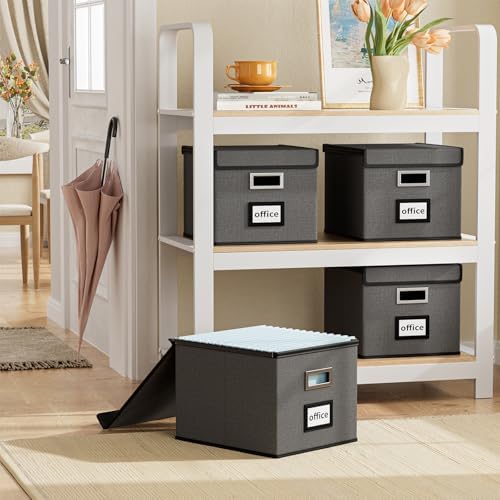 File Organizer Box with Lids, Collapsible File Folder Organizer