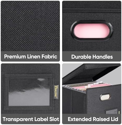 BALEINE File Organizer Box with Lid, Collapsible Hanging File Storage Box