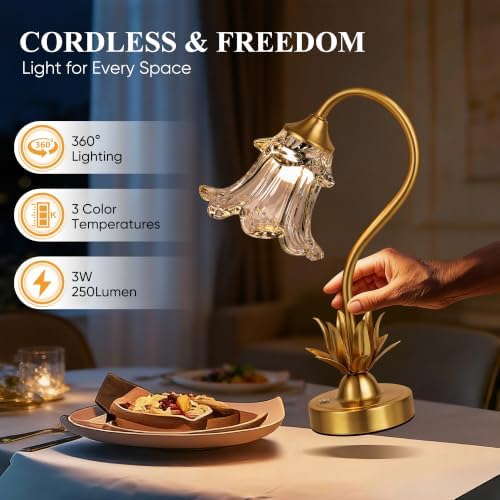 Cordless Flower Table Lamp with Glass Lampshade, 5200mAh Rechargeable Battery, 3-Color Dimmable Touch Control, Portable Desk Lamp for Nightstand, Patio, Camping, Restaurant & Home, Transparent