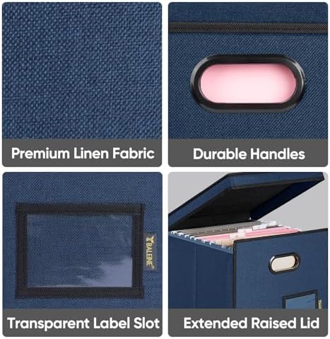 BALEINE File Organizer Box with Lid, Collapsible Hanging File Storage Box