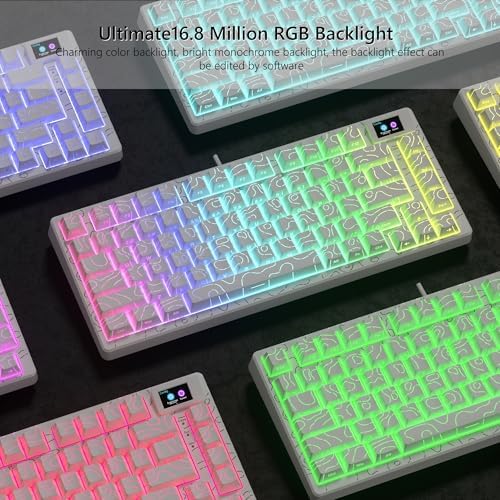 Womier SK80 75% Percent Keyboard Gaming with Color Multimedia Display
