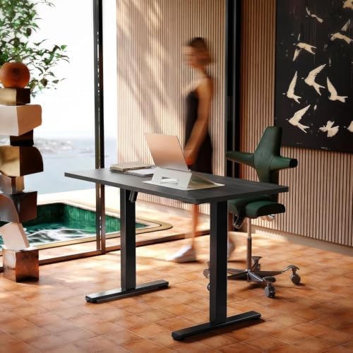 HUANUO 40x24 Inch Electric Standing Desk, Height Adjustable, Grey