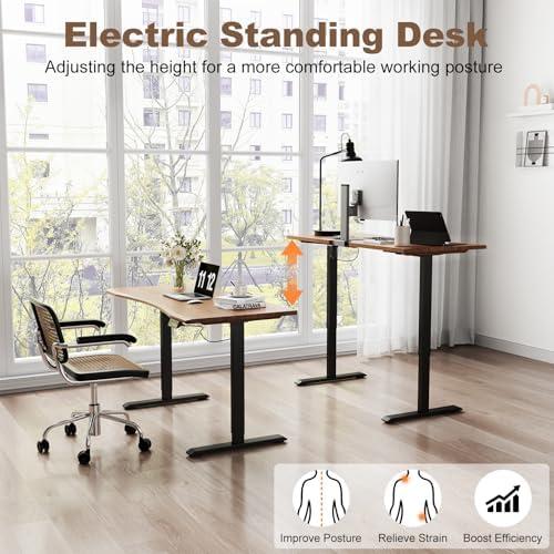 Solid Wood Electric Standing Desk, 55"x23.6" Walnut Standing Desk