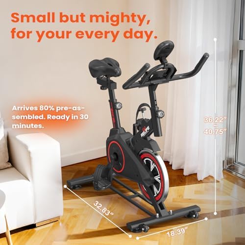 RELIFE REBUILD YOUR LIFE Exercise Bike, Friction Stationary Bike for Home