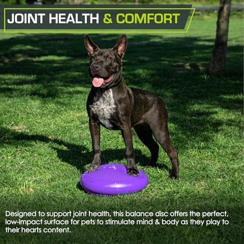 ProsourceFit Core Balance Disc, Inflatable Wobble Cushion with Hand Pump, Dual-Textured Non-Slip Surface for Core, Balance, and Stability Training, 14-inch