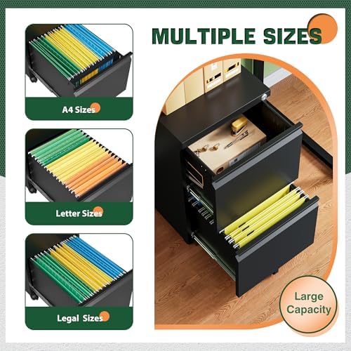 Letaya Mobile File Cabinet with Lock,2 Drawer Under Desk Metal Rolling Filing Cabinets for Home Office Organizer Letters/Legal/A4(Fully Assembled-Black) (Pack of 2)