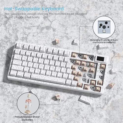 Womier SK80 75% Percent Keyboard Gaming with Color Multimedia Display