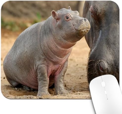 9.5x7.9 Inch Office/Gaming Mouse Pad, Adorable Baby Hippo Beside Its Adult Relative Cute Anti-Slip Mat for Desk