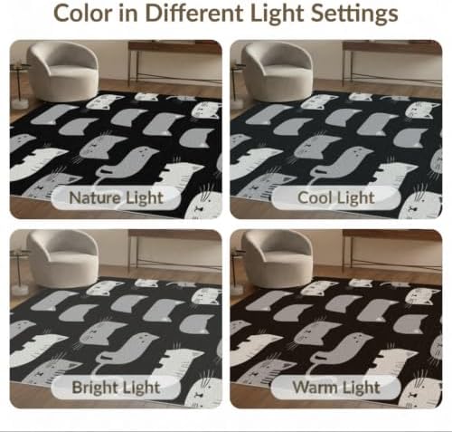 2'x3' Midnight Black Cat with Silver Accents Washable Throw Rug