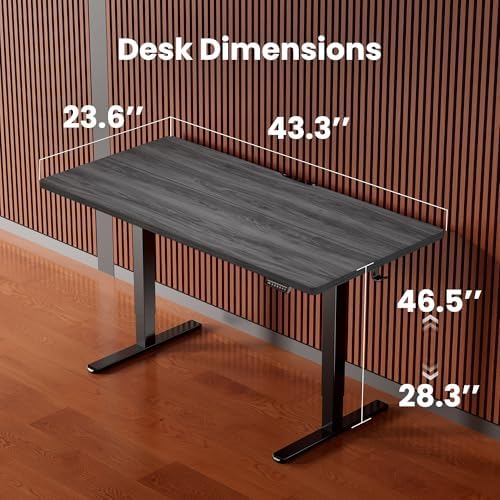 ErGear Height Adjustable Electric Standing Desk, 44 x 24 Inches Sit Stand up Desk, Memory Computer Home Office Desk, Grey