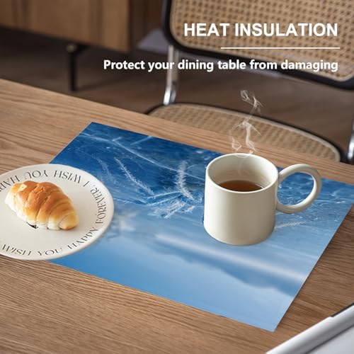 Frost Blue Spider Linen Placemats, On Cold Lake Table Mats for Table Washable Heat Insulation Thick Dining Mat, Indoor/Outdoor 12X18 in 4 Pcs