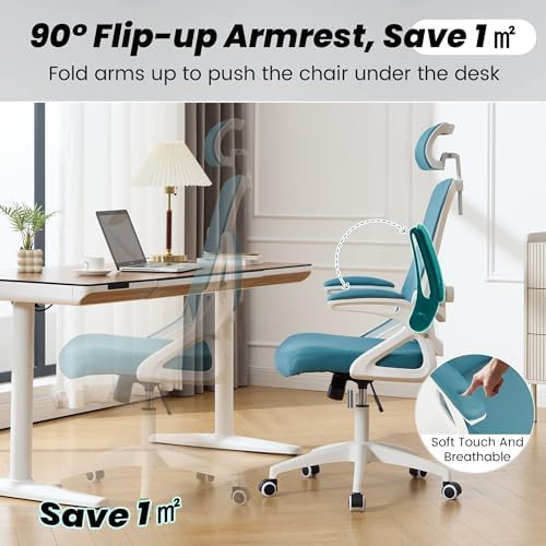 Ergonomic Mesh Office Chair with 2D Adjustable Headrest and Lumbar Support