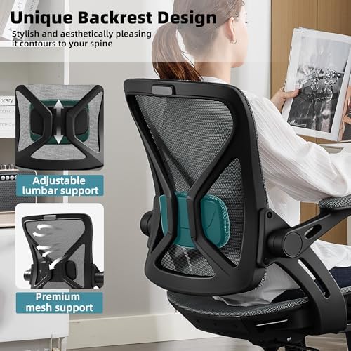 Ergonomic Office Chair, Computer Desk Chair with Lumbar,Grey