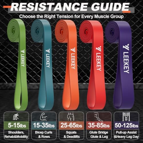 LEEKEY Resistance Bands Set for Pull Up Assistance & Exercise