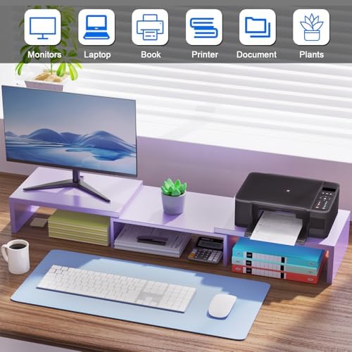 Dual Monitor Stand Riser