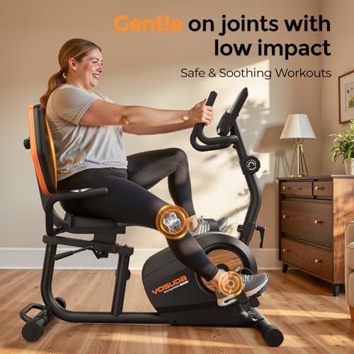 YOSUDA Recumbent Exercise Bike for Home，Magnetic Staionary Bike for Seniors