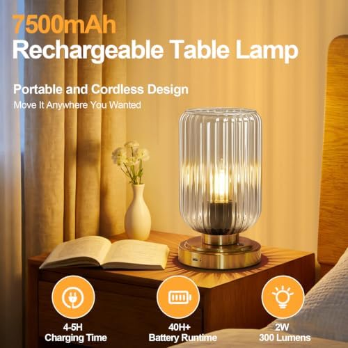 LightRound Cordless Table Lamp for Bedroom, Touch Stepless Dimmable
