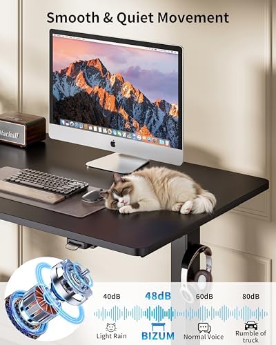 BIZUM 31.5" Small Electric Standing Desk Height Adjustable, Whole Piece Stand Up Computer Desk Work Study Writing Gaming Desks for Home Office Black