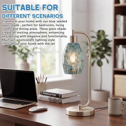 Teenyyou 1 Set Oval Glass Lamp Shade Replacement, Marble Blue