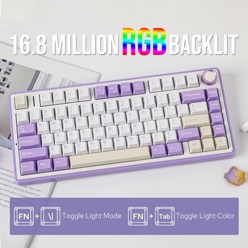 EPOMAKER x Aula F75 Gasket Mechanical Keyboard, 75% Wireless Hot Swappable Gaming Keyboard with Five-Layer Padding&Knob, BT/2.4GHz/USB-C, RGB (Purple, LEOBOG Reaper Switch)