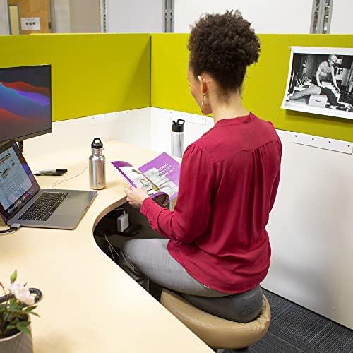 Balansit Balancing Seat Cushion, Large, Balanced Body Posture Support