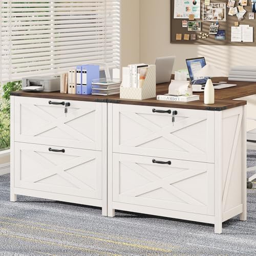 Halitaa Farmhouse Lateral File Cabinet with 2 Drawers, White and Brown