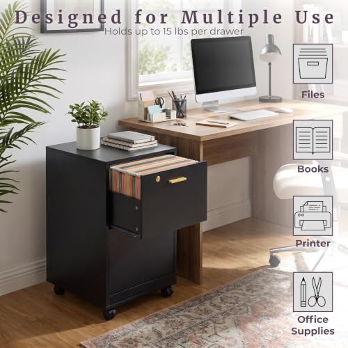 Lavish Home 2-Drawer Wooden File Cabinet with Lock, Black, 16” x 27”