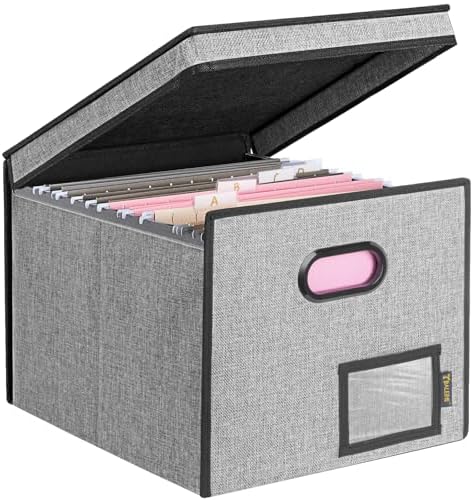 BALEINE File Organizer Box with Lid, Collapsible Hanging File Storage Box