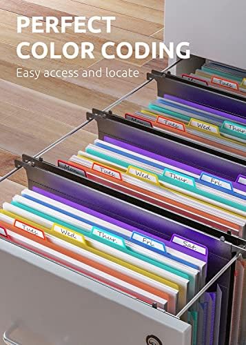 ThinkTex Plastic Expanding Hanging File Folders, 7 * 1.2" Accordian Pockets