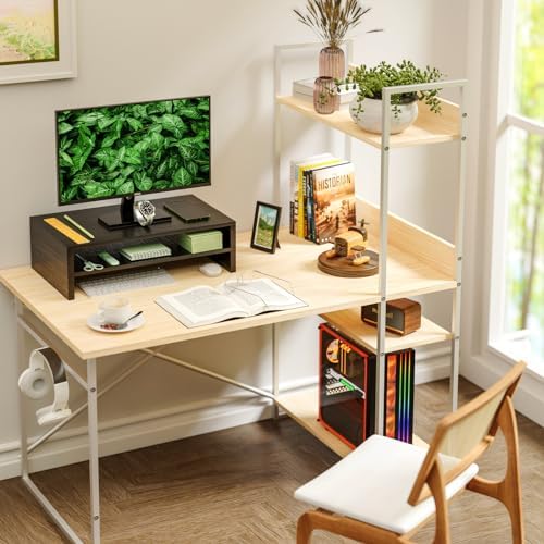 Simple Trending 2-Tier Monitor Stand Riser, Desk Storage Organizer, Black