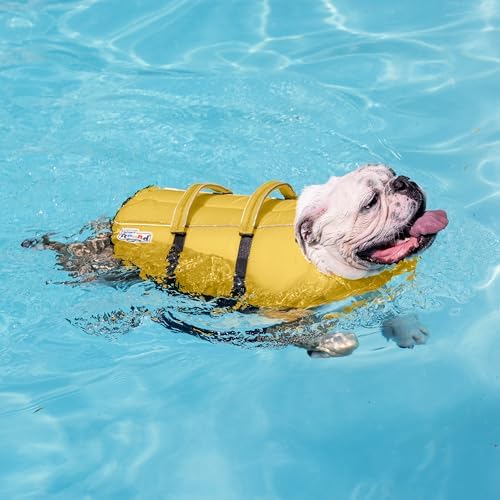 Outward Hound Granby Splash Dog Life Jacket, Life Vest, Yellow, Medium