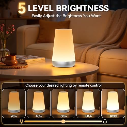 Auxmir Rechargeable Night Light, Touch Table Lamp with Remote, Silver