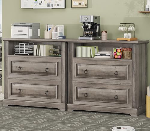 Itaar 2 Drawer File Cabinet, Farmhouse Filing Cabinet for Home Office Fits Letter, Legal, A4 Size, Wood Lateral File Cabinet with Printer Stand, Storage Shelf, Grey