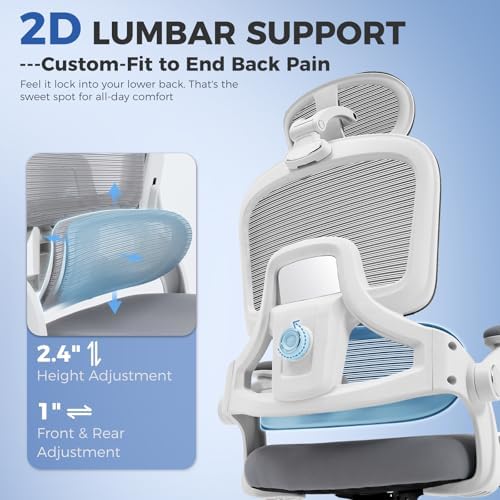 Office Chair with Adjustable Lumbar Support, Ergonomic Desk Chairs, Grey