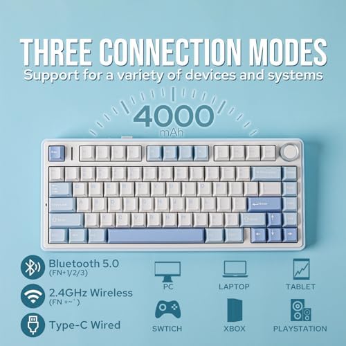 EPOMAKER x Aula F75 Gasket Mechanical Keyboard, 75% Wireless Hot Swappable Gaming Keyboard with Five-Layer Padding&Knob, BT/2.4GHz/USB-C, RGB (Sea Salt Blue, LEOBOG Reaper Switch)