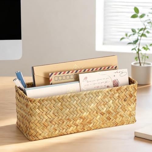 BTSKY 2 Slots Mail Organizer Countertop, Seagrass Mail Holder for Home