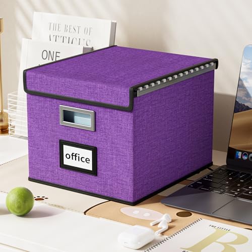 File Organizer Box with Lids, Collapsible File Folder Organizer