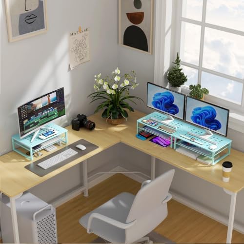 gianotter 2-Tier Metal Monitor Stand Riser