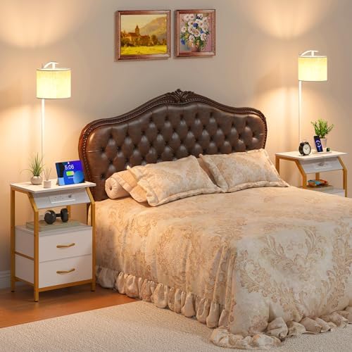 End Table with Floor Lamp, Nightstand with Charging Station, Floor Lamp Table with 3-Color Temperature Bulb, Bedside Table Night Stand with 2 Drawers for Bedroom, Living Room, Gold