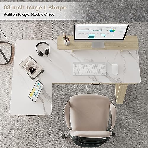 EUREKA ERGONOMIC Electric Standing Desk with Dual Drawers,63 Inches Height Adjustable L-Shaped Office Desk,Sit Stand Desk Ergonomic Executive Desk Computer Workstations with Monitor Stand,Left/White