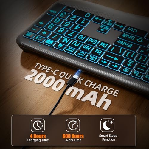 Hamile Large Print Wireless Backlit Keyboard for Windows, Gray