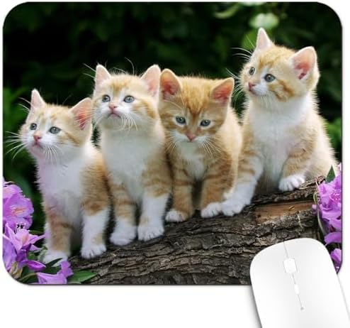 9.5x7.9 Inch Office/Gaming Mouse Pad, Adorable Norwegian Forest Kittens on a Rustic Log Lovely Cats Pets, Cute Anti-Slip Mat for Desk Decor