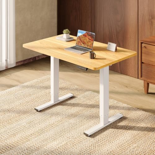 SANODESK One-Piece 40 x 24'' Electric Height Adjustable Standing Desk