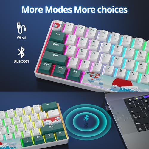 surmen Wireless Keyboard 60% Gaming Keyboard 60 Percent, Hot Swappable RGB Mini Bluetooth BT5.0/USB-C Mechanical Keyboard with Software for Windows Mac Laptop (Gateron Red, Green 61)