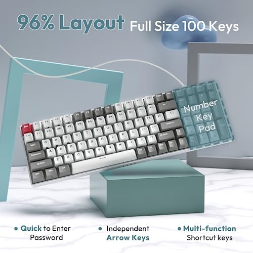 RK ROYAL KLUDGE RK100 Wireless Mechanical Keyboard RGB Backlit Bluetooth5.1/2.4G/Wired 96% Full Size 100-Key Hot Swappable Gaming Keyboard Brown Switch Classic